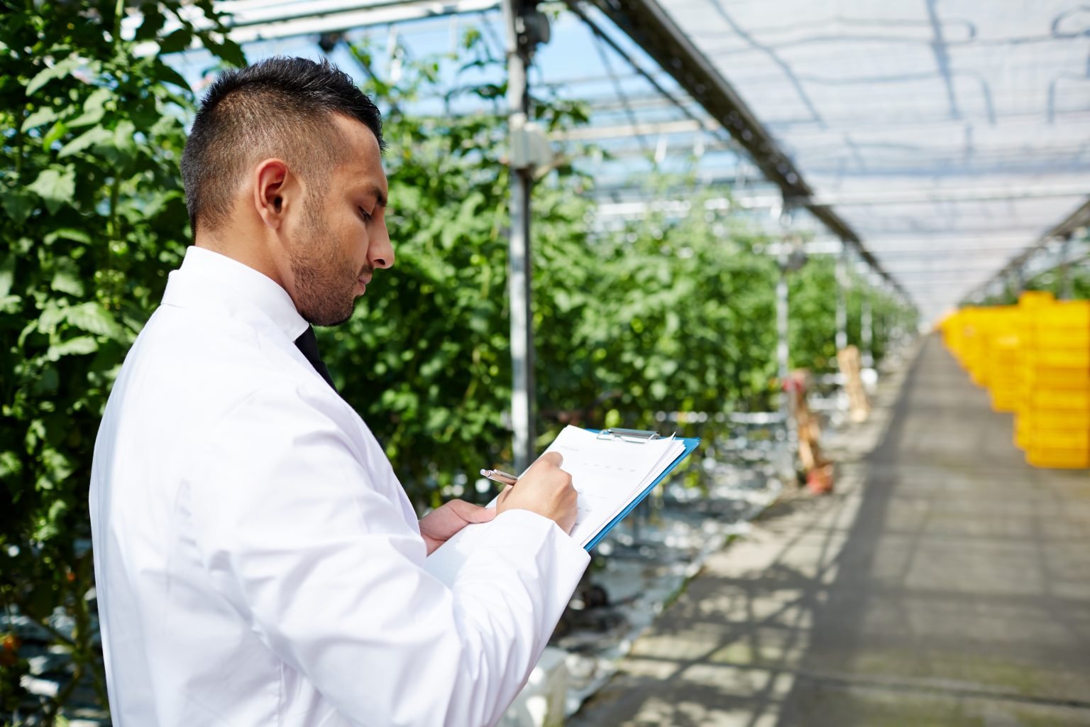Transforma tu futuro como un gestor agropecuario de éxito con esta carrera