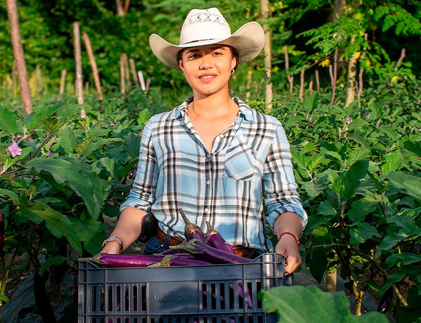 Ingeniería Agronómica Administrativa
